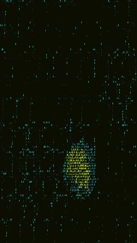 Abstract Glitch Warp Effect Portrait Stock Footage 331080600