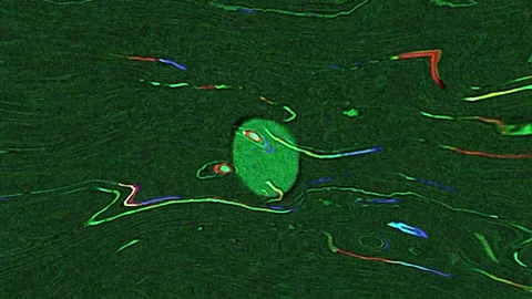 Abstract Glitchy TV Screen Animation Stock Footage 305387161