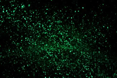 Abstract glitter blue background Stock Photos
