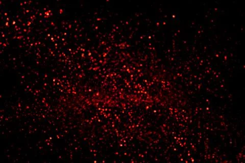 Abstract glitter red background Stock Photos