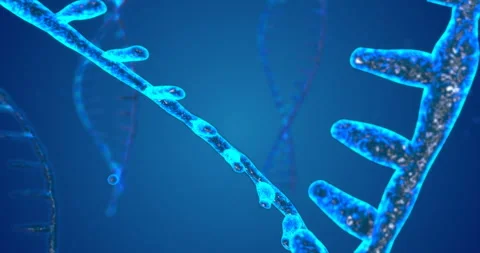 Abstract glittering DNA double helix with depth of field. Animation of DNA Stock Footage 106562064