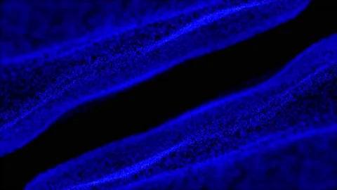 Abstract Globe Grid. Science and Technology Abstract Vector Illustration. Stock Footage 236690915