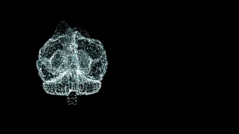 Abstract glowing brain structure formed from tiny particles in intense activity Stock Footage 121798988