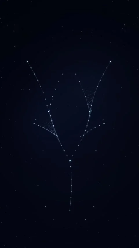 Abstract Glowing Constellation Tree Shape in Dark Night Sky Stock Footage 346197630