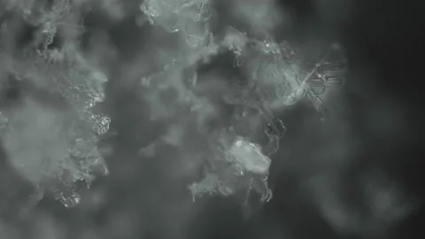 Abstract glowing formation turns into beautiful parts of transparent snowflakes. Stock Footage 233675719