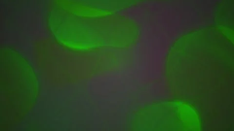 Abstract glowing green bokeh lights floating smoothly on a dark background .. Stock Footage 346331767