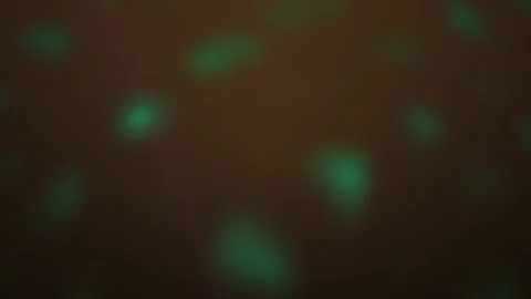Abstract Glowing Green Light Orbs Floating in Dark Background. Stock Footage 341789605