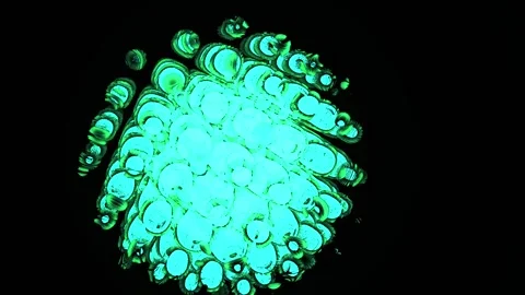 Abstract Glowing Green Microbe or Virus Animation on Black Background. Stock Footage 333914788