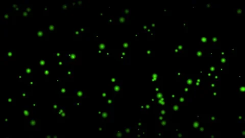Abstract glowing green particles floating in dark space 動画素材 345975665
