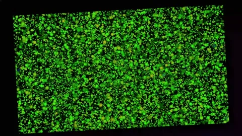 Abstract Glowing Green Particles Texture Stock Footage 322611951