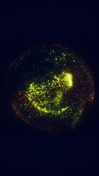 Abstract glowing green sphere made of tiny particles and light dots, symboliz Stockillustratie