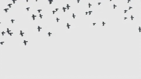 Abstract Glowing particles dynamic shape line background, Animation Loop Video stock 239855719