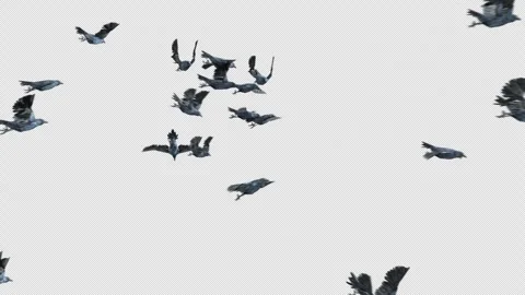 Abstract Glowing particles dynamic shape line background, Animation Loop Stock Footage 242187885