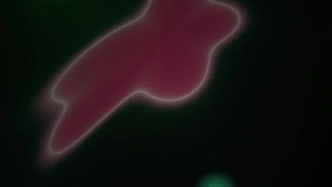 Abstract Glowing Pink Organic Shape Morphing Animation on Dark Background. Stock Footage 341791060