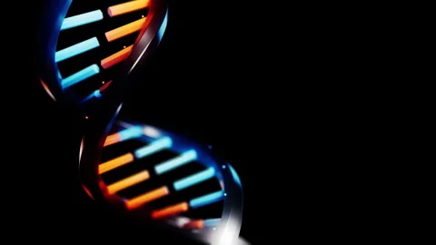 Abstract glowing red and blue glass DNA double helix rotating in dark space in a Stock Footage 340563586