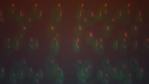 Abstract glowing red digital particle lights floating on dark futuristic ba.. Stock Footage 346339359