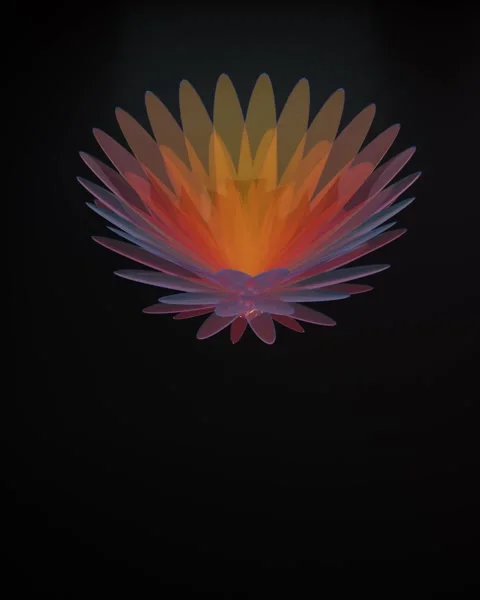 Abstract Glowing Red Translucent 3D Flower Blooming Animation Stock Footage 329426979