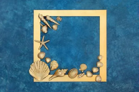 Abstract Gold Nature Seashell Objects Background Frame 写真素材