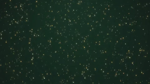 Abstract gold particles shimmering and floating in dark green water creatin.. Видео 340917678