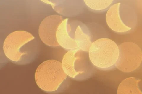 Abstract gold texture Stock Photos