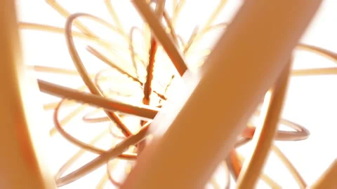 Abstract Gold torus 3D rendering multiple pattern rotation, Network Video stock 147660419