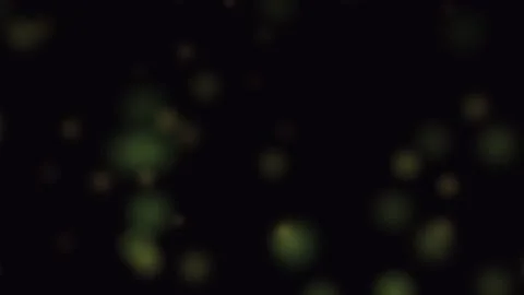 Abstract golden bokeh particles floating against a deep black background Video stock 335117383