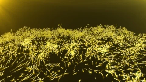 Abstract golden flying particle trails with light flare sun. Video stock 125727770