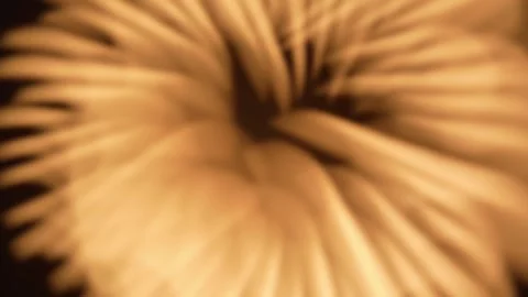 Abstract Golden Light Rays Pulsing in Circular Motion on Black Background 스톡 동영상 334136212