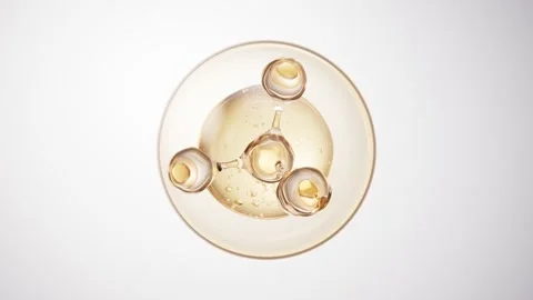Abstract golden molecule model rotating in glass sphere on white background.. Stock Footage 332227901