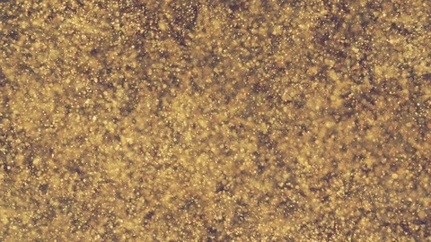 Abstract golden particles with blurred defocused bokeh moves chaos, snow flakes Stock Footage 124367448