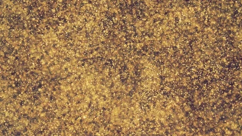 Abstract golden particles with blurred defocused bokeh moves chaos, snow flakes Stock Footage 124368141