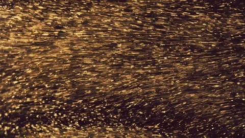 Abstract golden particles with blurred defocused bokeh moves chaos, snow flakes Stock Footage 124379331