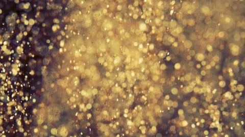 Abstract golden particles with blurred defocused bokeh moves chaos, snow flakes Stock Footage 124380595
