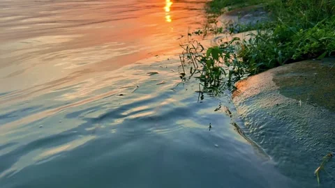 Abstract Golden Reflection On Gently Moving Water Surface Background. 4k vide Stock Footage 340523035