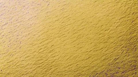 Abstract Golden Textured Background with Subtle Purple Ambient Highlights Video stock 341473343