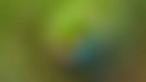 Abstract gradient background, blurred multicolored background Stock Photos