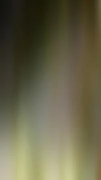 Abstract gradient background, blurred multicolored background Stock Photos