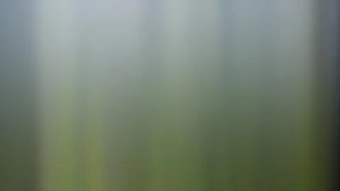 Abstract gradient background, blurred multicolored background Stock Photos