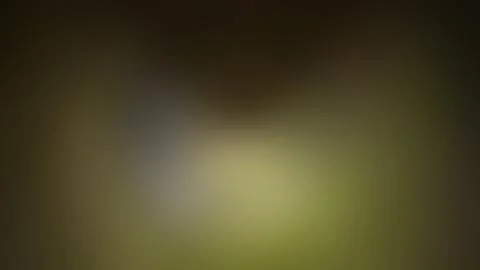 Abstract gradient background, blurred multicolored background Stock Photos