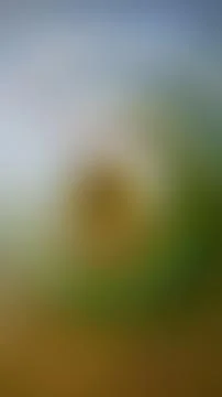 Abstract gradient background, blurred multicolored background Stock Photos