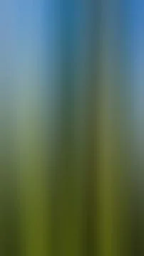 Abstract gradient background, blurred multicolored background Stock Photos