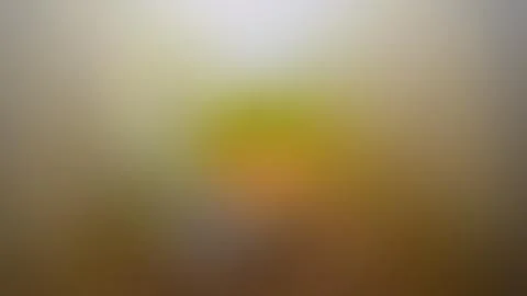 Abstract gradient background, blurred multicolored background Stock Photos