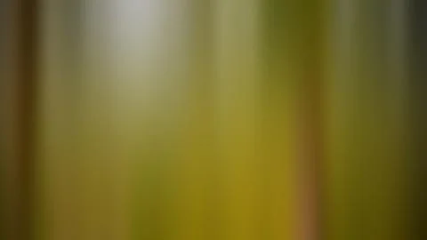 Abstract gradient background, blurred multicolored background Stock Photos