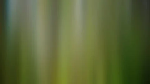 Abstract gradient background, blurred multicolored background Stock Photos