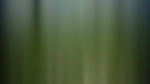 Abstract gradient background, blurred multicolored background Stock Photos