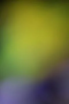 Abstract gradient background with seamless color transition for creative de.. Stock Photos