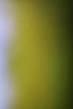 Abstract gradient background with smooth color transition for creative desi.. Stock Photos