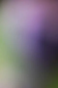 Abstract gradient background with soft purple and green light transitions Stock Photos
