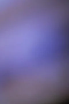 Abstract gradient background with soft purple and blue blend for creative d.. Stock Photos