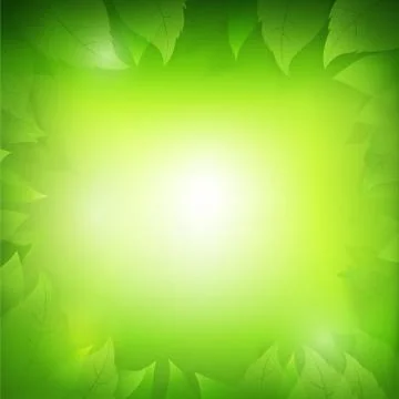 Abstract gradient green background with transparency leaf for ecology concept Stock Illustration